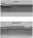 Fig. 01 - Models of reconstructed sensitive skin