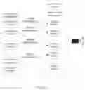 Fig. 12 - Processing Method and Apparatus
