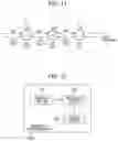 Fig. 11 - INFORMATION PROCESSING DEVICE, LEARNING DEVICE, AND NON-TRANSITORY RECORDING MEDIUM STORING MACHINE-LEARNED MODEL