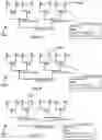Fig. 01 - Genealogical entity resolution system and method