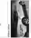 Fig. 12 - Visual assist for insurance facilitation processes