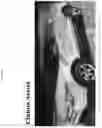 Fig. 13 - Visual assist for insurance facilitation processes