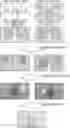 Fig. 01 - Image processor, image processing method, program, and remote communication system