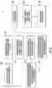 Fig. 07 - Automated implant movement analysis systems and related methods