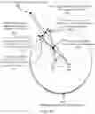Fig. 12 - Devices and methods for binaural spatial processing and projection of audio signals