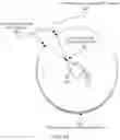 Fig. 13 - Devices and methods for binaural spatial processing and projection of audio signals