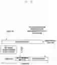 Fig. 29 - Method for securing discovery information and device therefor