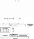 Fig. 32 - Method for securing discovery information and device therefor