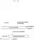 Fig. 40 - Method for securing discovery information and device therefor
