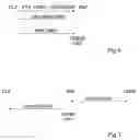 Fig. 05 - Detection of a rerouting of a communication channel of a telecommunication device connected to an NFC circuit