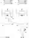Fig. 27 - REAL-TIME MONITORED MOBILE DEVICE SECURITY