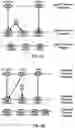 Fig. 06 - Failure Recovery in Wireless Communications