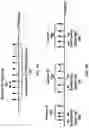 Fig. 08 - Power control and retransmission