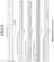 Fig. 10 - Methods for controlling a paging operation and apparatuses thereof