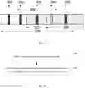 Fig. 04 - Detecting method, transmitting method and apparatus for common control channel