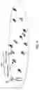 Fig. 09 - Integrated circuit for transmitting control information including ACK/NACK resource indicator