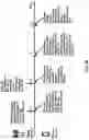 Fig. 41 - Beam management and beam indication in a radio system