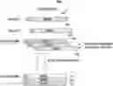 Fig. 01 - Method and device for carrier activation in carrier aggregation system