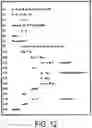 Fig. 13 - Terminal apparatus, base station apparatus, and communication method