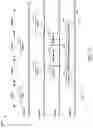 Fig. 04 - Single transceiver-DSA via MAC-underlay sensing and signaling