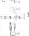 Fig. 02 - CHANNEL ACCESS FOR A MIXED NUMEROLOGY CARRIER