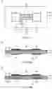 Fig. 13 - Wiring board and method for manufacturing wiring board