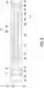 Fig. 07 - Power module and manufacturing method thereof