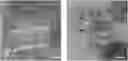 Fig. 01 - Imprinted metallization on polymeric substrates