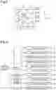 Fig. 05 - TRANSPLANTING DEVICE AND TRANSPLANTING METHOD