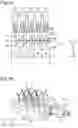Fig. 12 - TRANSPLANTING DEVICE AND TRANSPLANTING METHOD