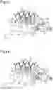 Fig. 13 - TRANSPLANTING DEVICE AND TRANSPLANTING METHOD