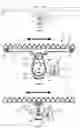 Fig. 02 - Cutting device for an agricultural harvesting machine