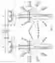 Fig. 06 - SUPPORT ASSEMBLY FOR DUAL ROTARY RAKING MACHINE