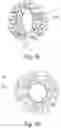 Fig. 05 - SYSTEM FOR DRY ARTIFICIAL POLLINATION OF CULTIVATED TREES OR SHRUBS BY INSECT-BORNE POLLEN AND METHOD OF DOING THE SAME