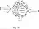 Fig. 17 - SYSTEM FOR DRY ARTIFICIAL POLLINATION OF CULTIVATED TREES OR SHRUBS BY INSECT-BORNE POLLEN AND METHOD OF DOING THE SAME