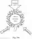 Fig. 20 - SYSTEM FOR DRY ARTIFICIAL POLLINATION OF CULTIVATED TREES OR SHRUBS BY INSECT-BORNE POLLEN AND METHOD OF DOING THE SAME