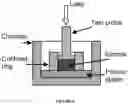 Fig. 05 - Preservation of biomaterial properties and methods of storing