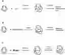 Fig. 01 - METHODS TO FORMULATE NEUTRAL ORGANIC COMPOUNDS WITH POLYMER NANOPARTICLES
