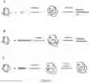 Fig. 08 - METHODS TO FORMULATE NEUTRAL ORGANIC COMPOUNDS WITH POLYMER NANOPARTICLES