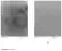 Fig. 09 - METHODS TO FORMULATE NEUTRAL ORGANIC COMPOUNDS WITH POLYMER NANOPARTICLES