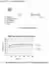 Fig. 11 - METHODS TO FORMULATE NEUTRAL ORGANIC COMPOUNDS WITH POLYMER NANOPARTICLES