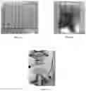 Fig. 03 - Durable pest-repelling formulations