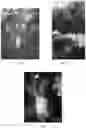 Fig. 04 - Durable pest-repelling formulations