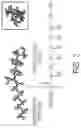 Fig. 03 - Methods of inactivation of viruses using n-methlyglucamide and its derivatives