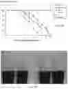 Fig. 10 - Rhizobacteria and uses thereof