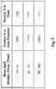 Fig. 06 - Protein extraction from spent grains