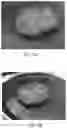 Fig. 07 - METHODS OF MANUFACTURING PRODUCTS FROM MATERIAL COMPRISING OILCAKE, COMPOSITIONS PRODUCED FROM MATERIALS COMPRISING PROCESSED OILCAKE, AND SYSTEMS FOR PROCESSING OILCAKE