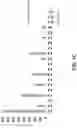 Fig. 04 - FERMENTED PLANT COMPOSITIONS HAVING MODIFIED ORGANOLEPTIC PROPERTIES