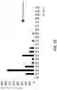 Fig. 06 - FERMENTED PLANT COMPOSITIONS HAVING MODIFIED ORGANOLEPTIC PROPERTIES