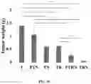 Fig. 06 - Compositions and methods for enhancing cancer radiotherapy